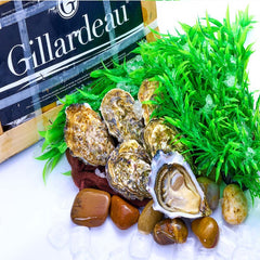 Gillardeau 生蚝