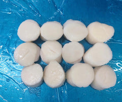 日本刺身帶子（歡迎查詢）